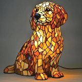 Buddy | Golden Retriever z Duchową Światłością